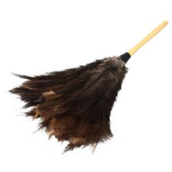 Feather Duster