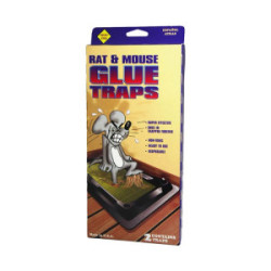 Indoor Electronic Bug Zapper With Insect Trap Tray 20W