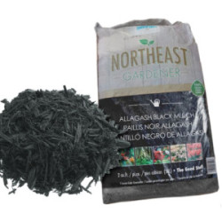 Black Mulch 2 Cu.