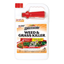 Grass & Weed Killer 1 Gal. 4/cs