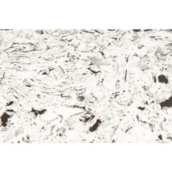 European Countertop  Quartz Arctic Polished