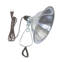 Clamp On Lamp w/8’ Cord