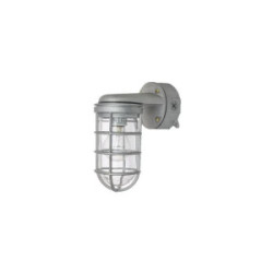 Vaporproof Outdoor Fixture W/Cage Wall Mount