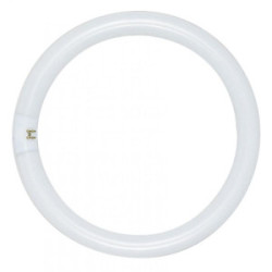 Circline Bulb 6” 20W FC6T9/CW 12/Case