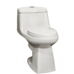One Piece Toilet with Dual Flush 16 5/8