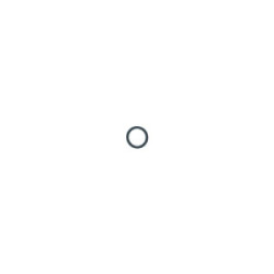 O Rings R57
